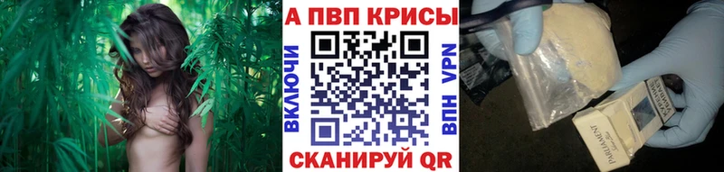 A PVP мука  Купить закладки  Светлый 